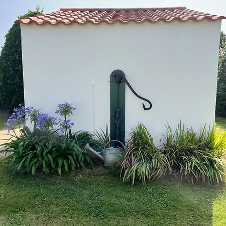 Insolite Kota Commequiers