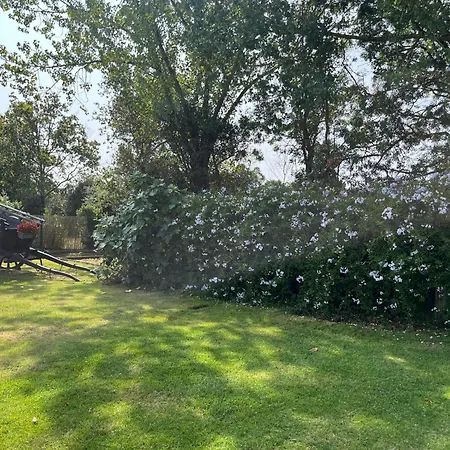 Insolite Kota * Commequiers