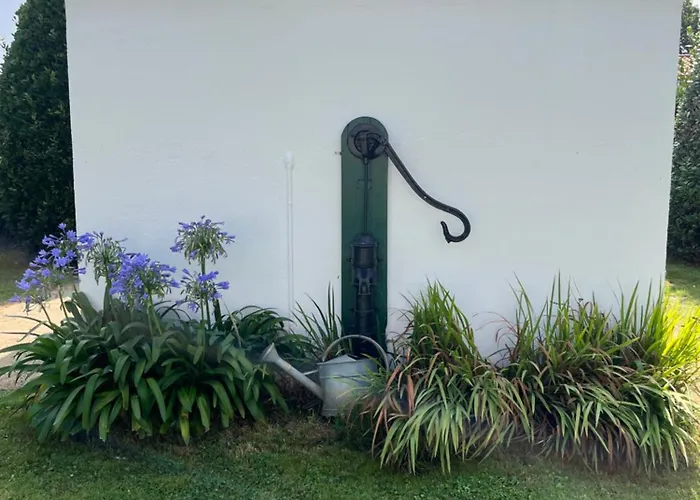 Insolite Kota Commequiers