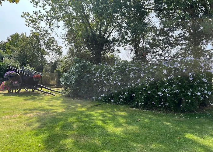 Insolite Kota * Commequiers