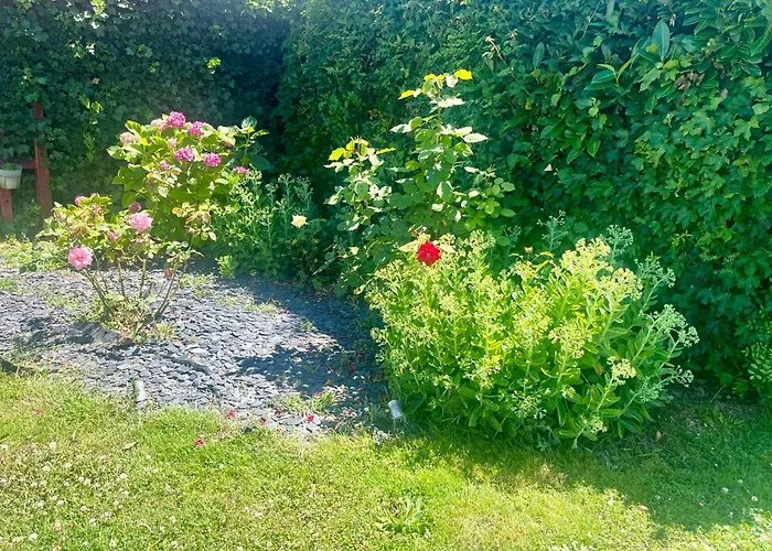 Insolite Kota Luxusní stan